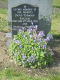 image of grave number 49413